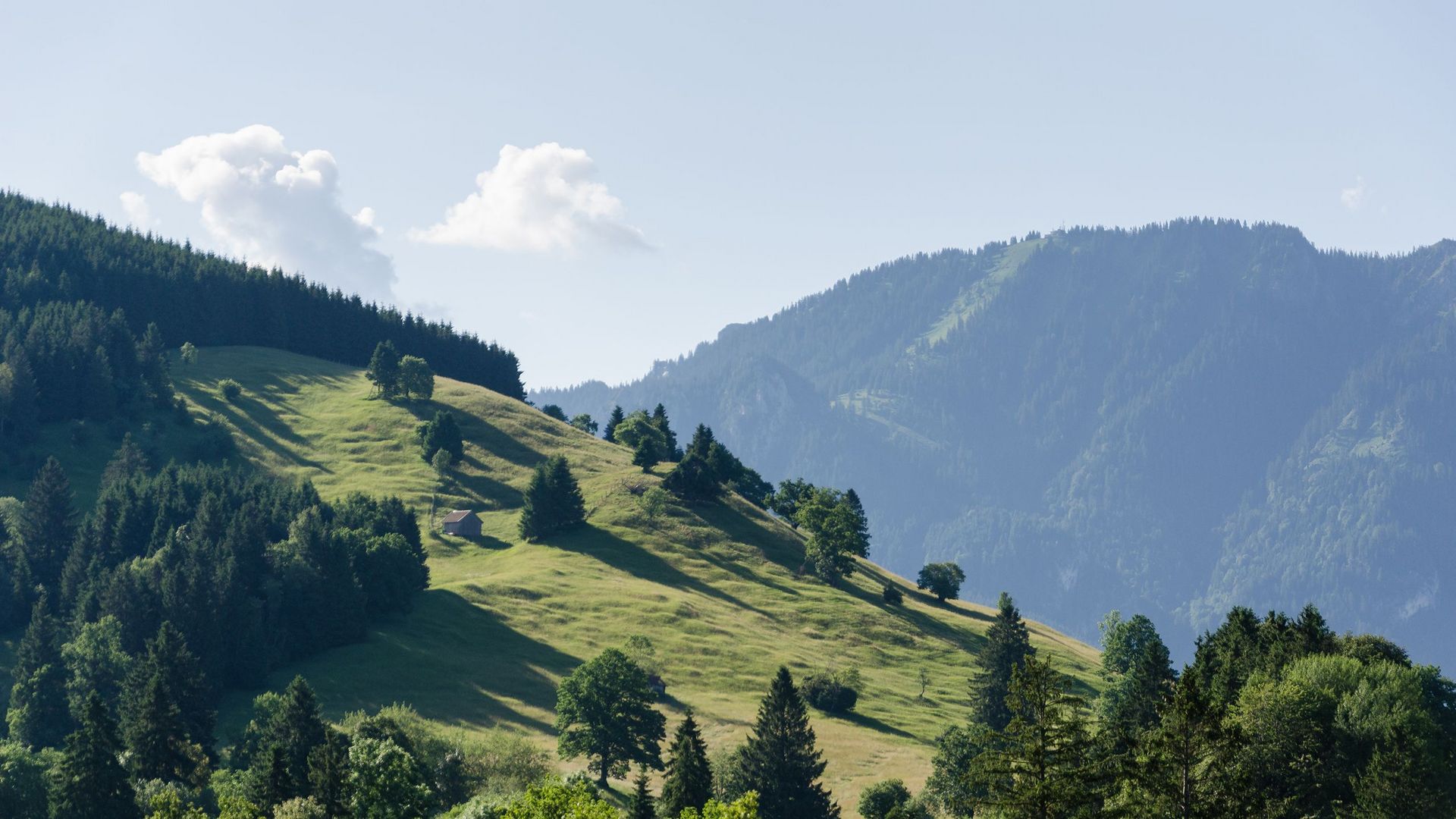 Wiesmahdweg bei Unterammergau