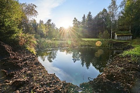 Moorstich in Bad Kohlgrub