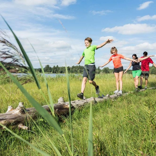 Eine Familie auf dem Barfußpfad am Soier See balanciert auf einem Baumstamm