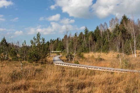 Moorlehrpfad in Bad Bayersoien