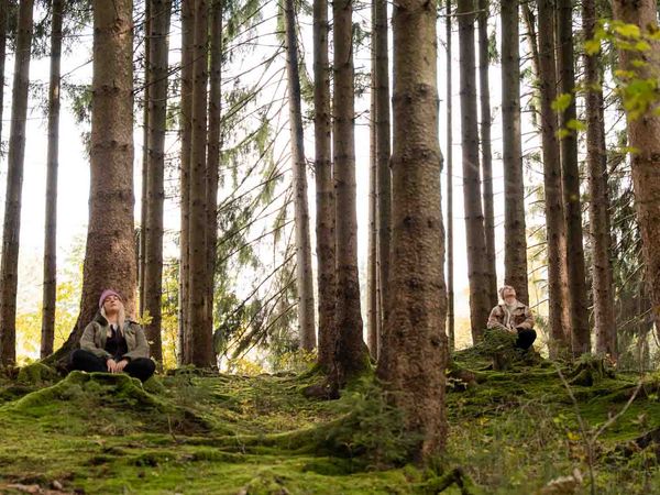 Eine Frau und ein Mann sitzen im Schneidersitz an Bäume angelehnt im Wald.