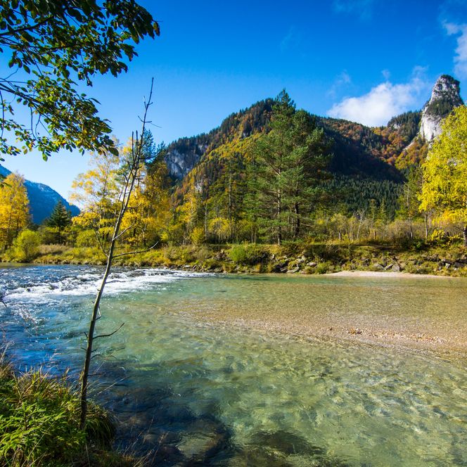 Die Ammer mit Kofel im Hintergrund im Herbst. 