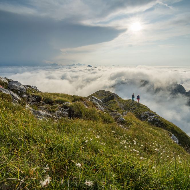 Wanderer beim Bergwandern auf der Hochplatte in den Ammergauer Alpen