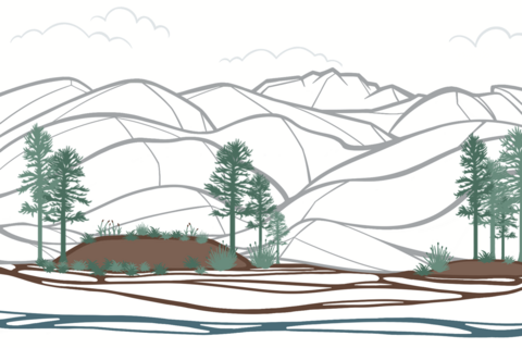 Eine Illustration, wie die Torfschicht nach oben wächst und den Kontakt zum Grundwasser verliert. 