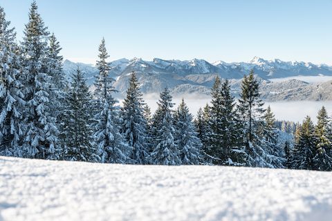 Schneelandschaft in den Ammergauer Alpen: Ausblick beim Winterwandern mit Schneeschuhen