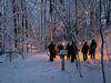 Eine Gruppe mit leuchtenden Fackeln steht im verschneiten Wald im Kreis.