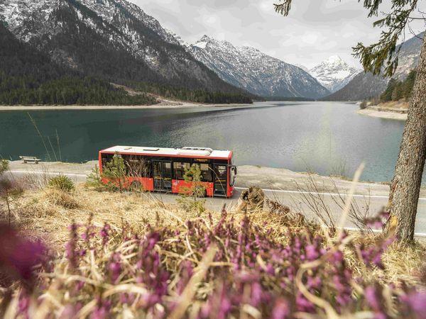 Der Ringbus am Plansee