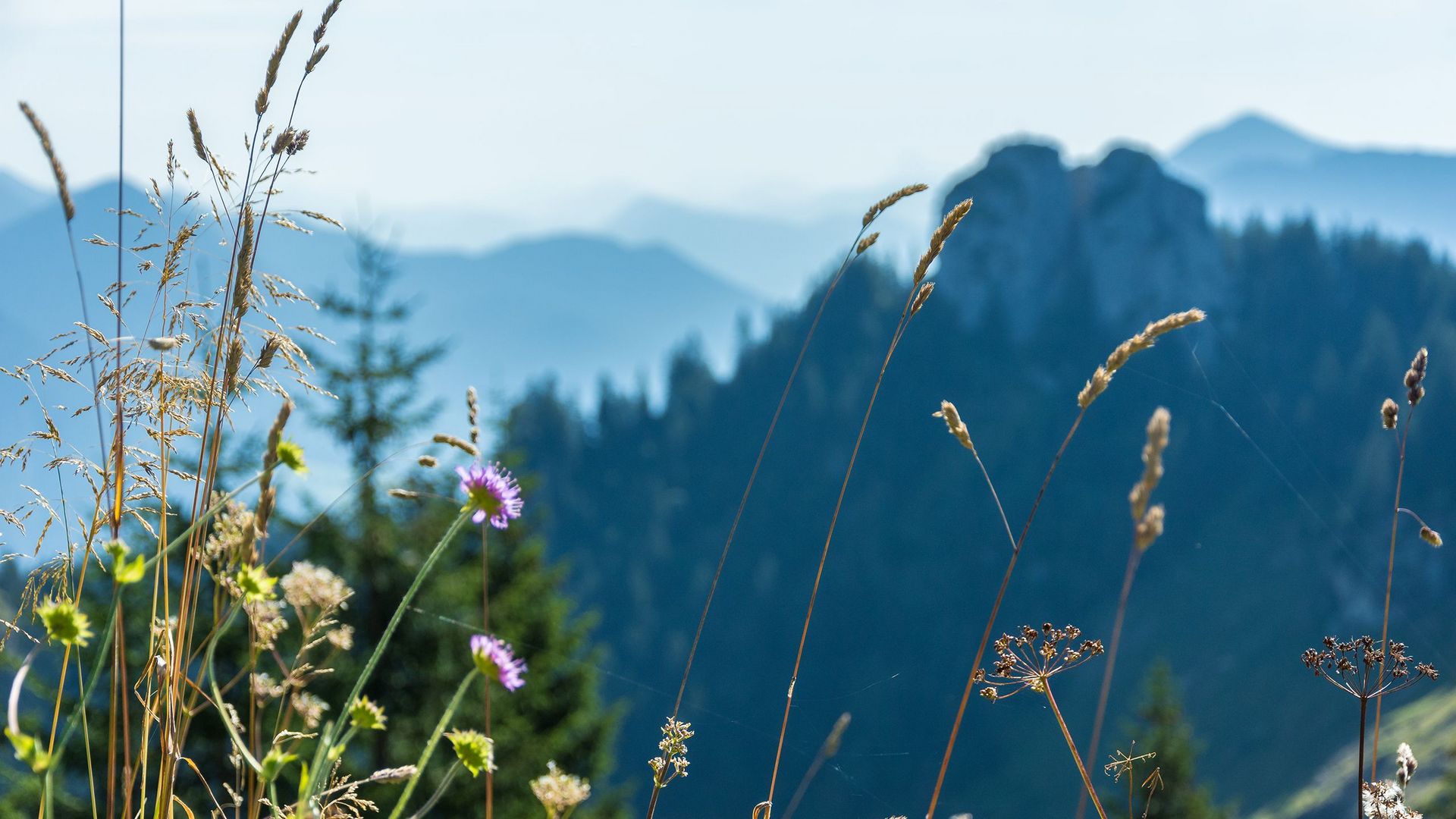 Weitblick mit dem Ettaler Manndl im Hintergrund
