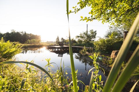 Moorlehrpfad in Bad Bayersoien