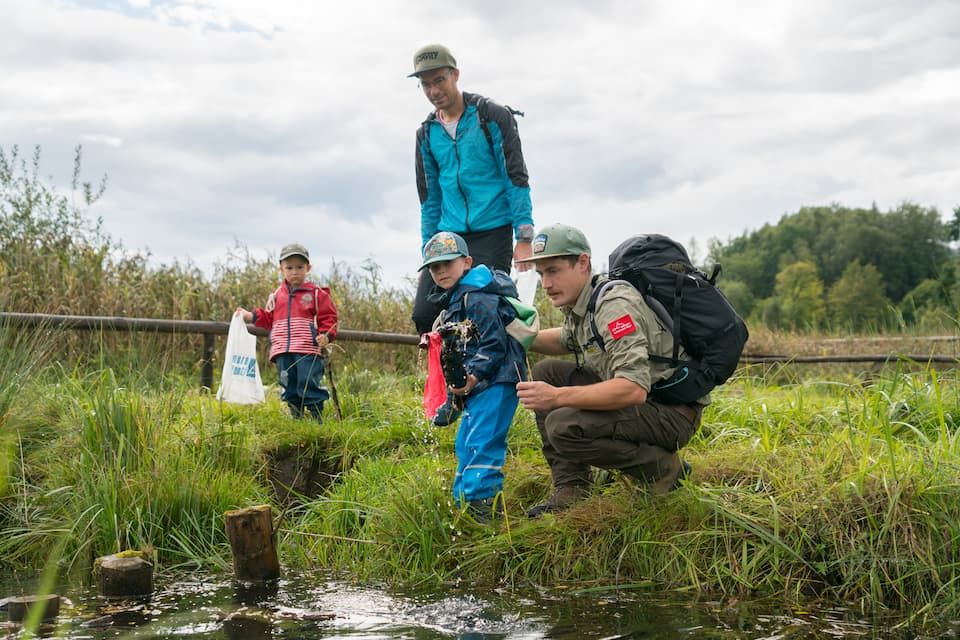 Valley Green Up in den Ammergauer Alpen 
