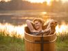 A woman lies in a mud bath at Lake Soier with a sunset atmosphere.