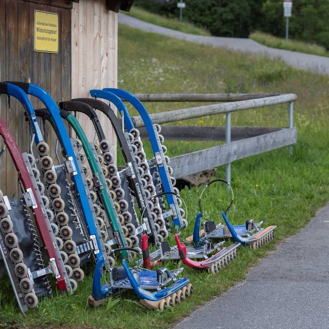 Mehrere Rollenrodel-Schlitten lehnen an einer Holzwand neben einer kurvigen Straße im Grünen.
